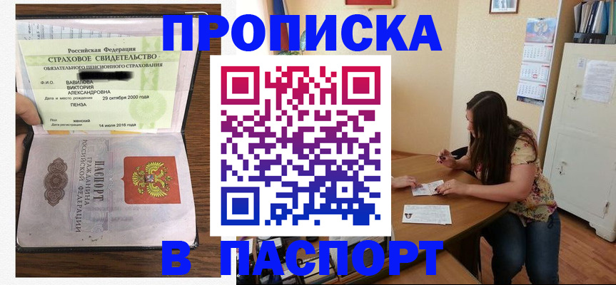 пропишу в квартире в Шлиссельбурге